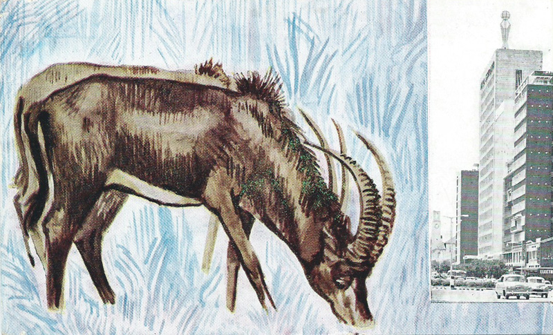 Rhodesia and Nyasaland, 1961